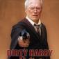 Dirty Harry Potter