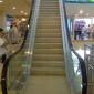 Escalator Trolling