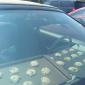 Hot Enough To Bake Cookies