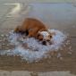 Cooling Down