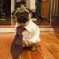 All Business