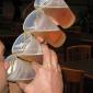 Drinking Beer Like A Pro