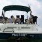 Pugboat