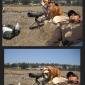 Sneaky Dog