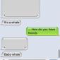 Chat Whales