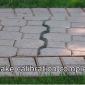 Snake calibration complete