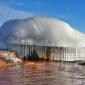 Frozen Jelly Fish?