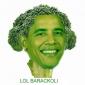 Barackoli