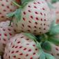 Reverse Strawberries