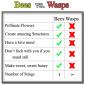 Bees vs. Wasps