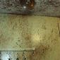 Kitchen Accident