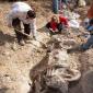Amazing Archeological Find