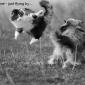 don't mind me-just flying by