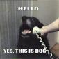 Hello