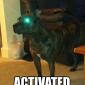 Cyborg Dog