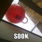 Soon