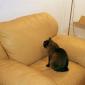 Interesting Couch