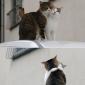 Get A Room!