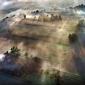 Morning Fog