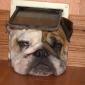 Here's Doggy