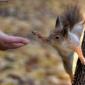 High Five!