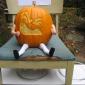 Fresh Pumpkin Pie