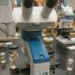 Happy Microscope
