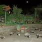 Suddenly, Badgers