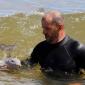 Baby Dolphin