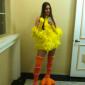 Sexy Big Bird Costume