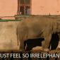 I Just Feel So...