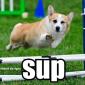Sup
