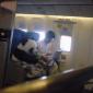 Panda Flying