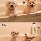 Before / After