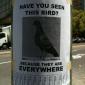 Everywhere