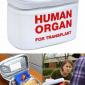 Human Organs