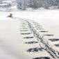 Snow Covered River