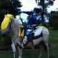 Ye Olde Motorbike