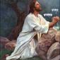 Silly Jesus