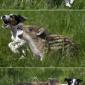 Best Friends!
