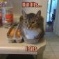 If It Fits