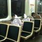 Glitch in the Matrix