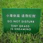 Do Not Disturb