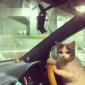 We don't need to ask for directions, ok?