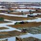 Fishing Village in China