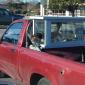 Car Dog House