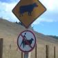 In Scotland