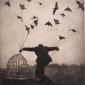 Fly Away
