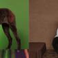 These Are Poodles