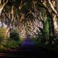 The Dark Hedges of Northern Ireland
